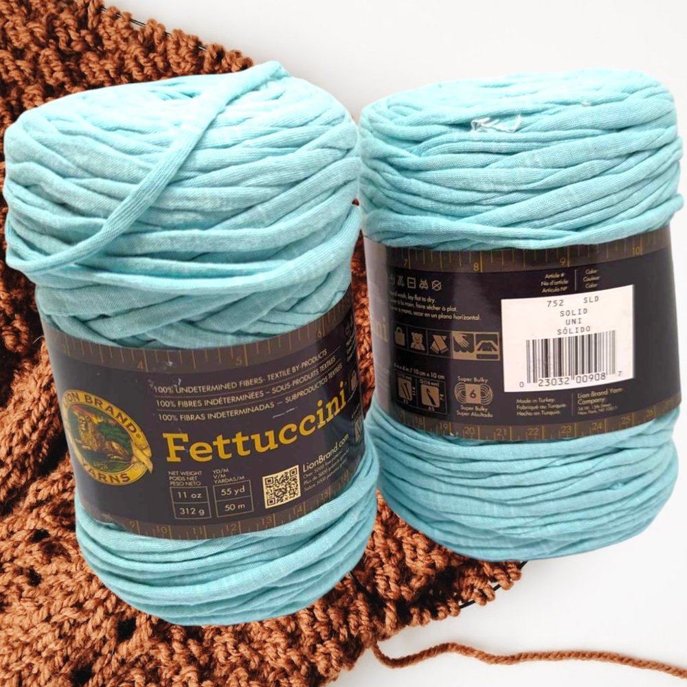 Lion Brand Fettuccini Yarn Bundle of 2 , 20.6oz Lot #60a - Picture 2 of 7
